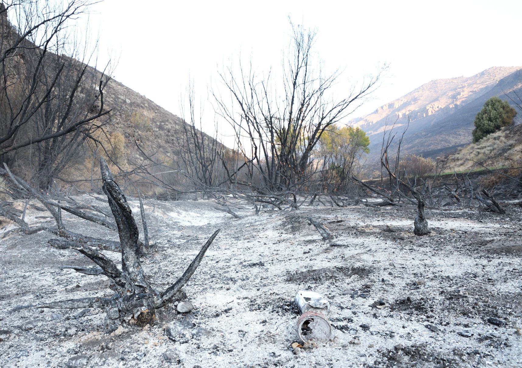 The Badger Fire